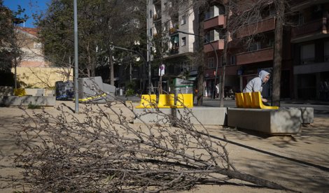 notibrasil política