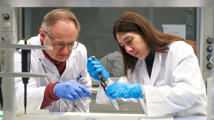 Investigadores de la UIB.