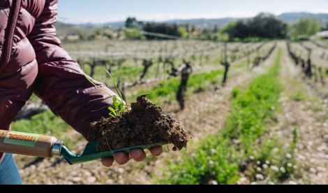 EpAgro - Unión Europea