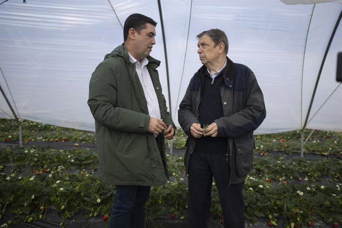 El ministro de Agricultura, Pesca y Alimentación, Luis Planas (d), visita una explotación agrícola en Moguer (Huelva) iniciando un viaje de tres días a diferentes municipios de Huelva, Cádiz, Sevilla y Córdoba afectados por el temporal para reiterar el ap