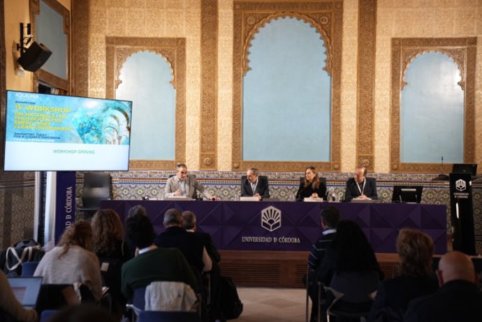 Inauguración del IV 'Workshop on Materials for Photocatalysis, Energy and Clean Environment',