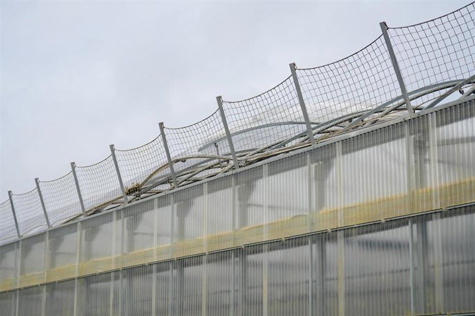 Invernaderos de Flores de Lebrija S.L con destrozos causado por la última borrasca. 