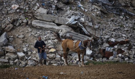 notibrasil política