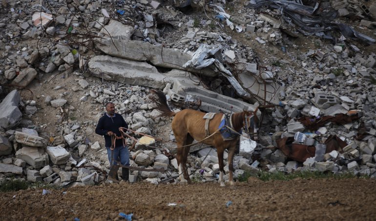 notibrasil política