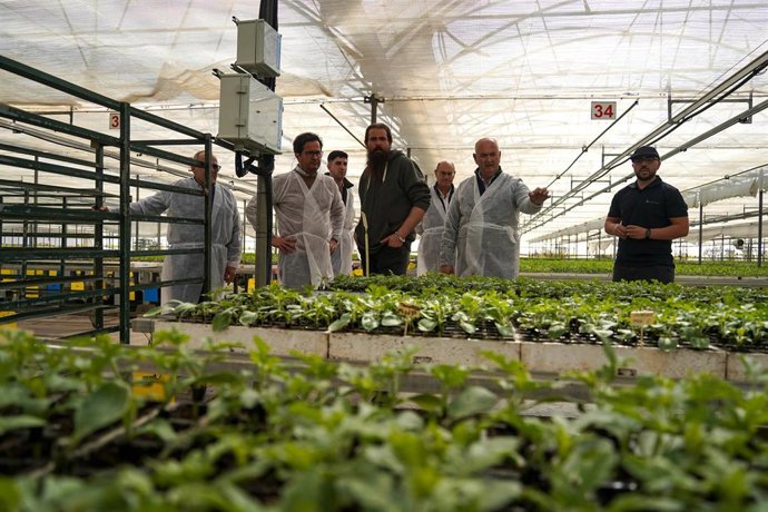 El alcalde de El Ejido, Francisco Góngora, durante su visita al semillero de Campoejido.