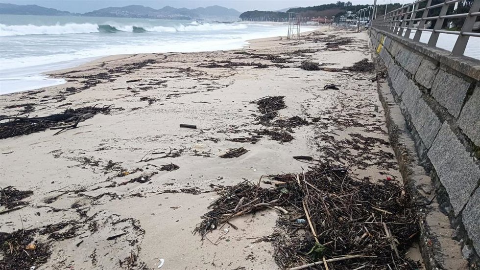 Efectos de la última borrasca en la playa de Samil (Vigo). Autor: Paulo Lago. SEO/BirdLife.
