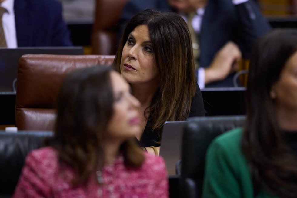 La portavoz adjunta del Grupo Socialista en el Parlamento andaluz, Ángeles Férriz.