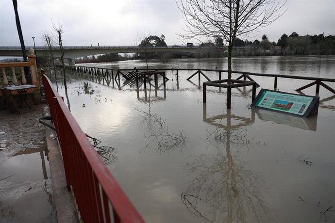 Estado actual de una de las zonas mas afectadas por  inundaciones en el término municipal de Jerez de la Frontera. 