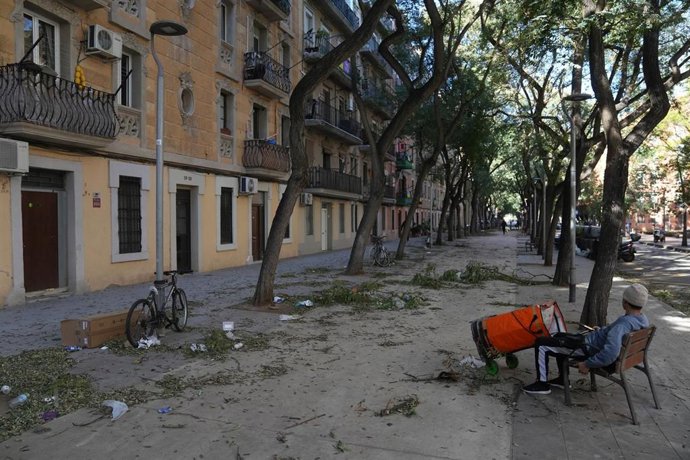 Hojas y basura acumuladas por el viento en Barcelona.