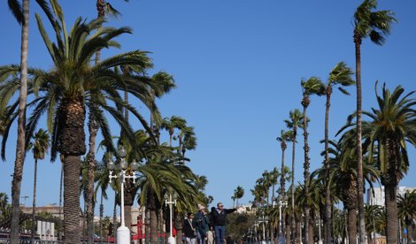 notibrasil política