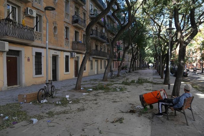 Montones de hojas y basura acumuladas por el viento, a 12 de febrero de 2026, en Barcelona, Catalunya (España). El teléfono de emergencias 112 ha recibido un total de 1.345 llamadas por el fuerte viento hasta las 6 horas de este jueves, 12 de febrero. Ade