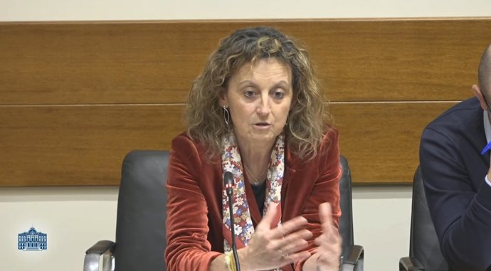 La consejera de Educación, Eva Ledo, esta tarde en la comisión parlamentaria de Educación.