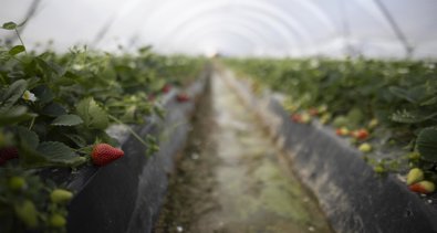 Es Andalucía - Sevilla