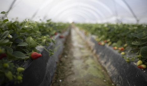 Es Andalucía - Sevilla