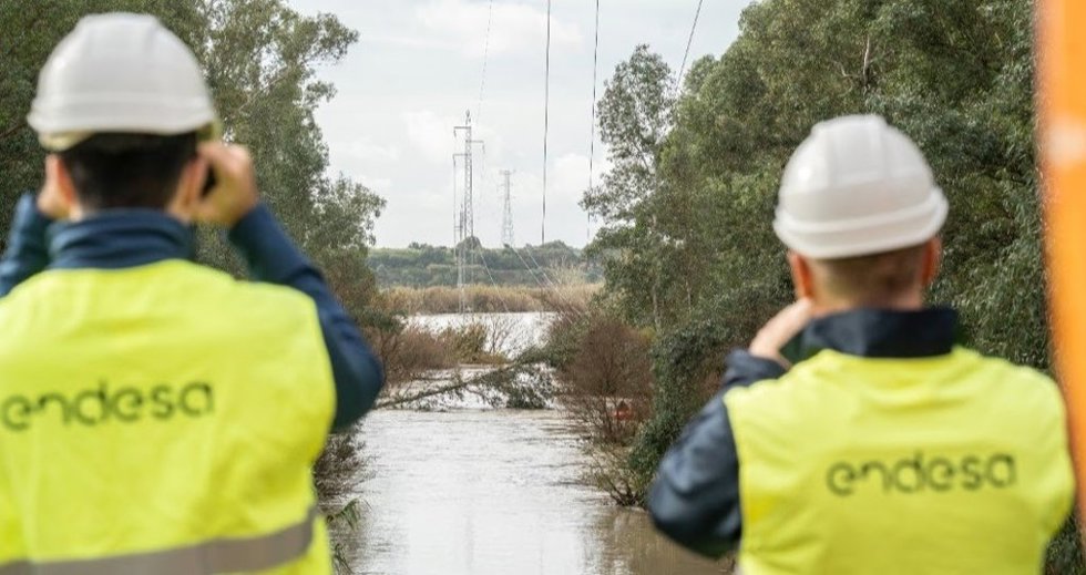 Endesa eleva a 35,5 millones inversión en reforzar y mantener su red de distribución eléctrica este invierno