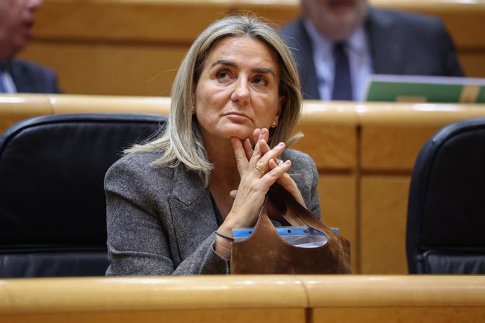 La ministra de Educación, Formación Profesional y Deportes, Milagros Tolón, durante una sesión plenaria en el Senado, a 3 de febrero de 2026, en Madrid (España). Esta tarde el Senado aborda, entre otros temas, Mercosur, el caos ferroviario de las últimas 