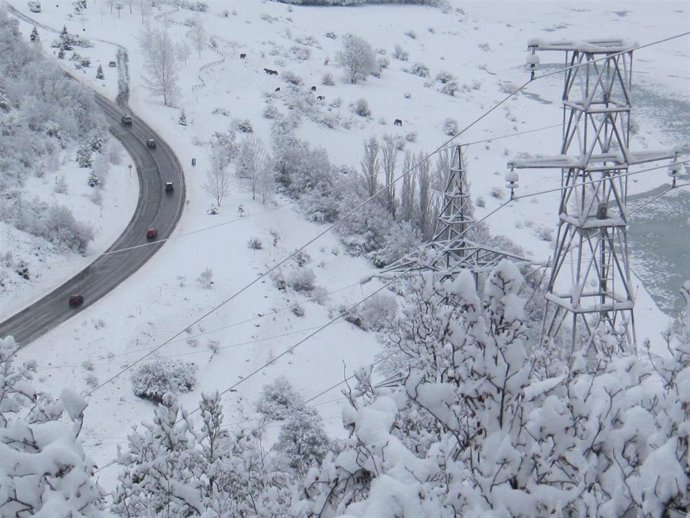 Endesa invierte este invierno 4,5 millones en mejorar la red aragonesa ante fenómenos climáticos extremos.