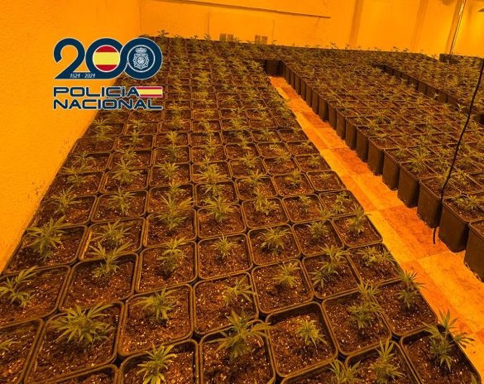 Marihuana en una vivienda de Granada.