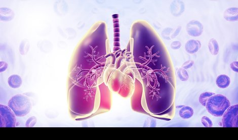 notibrasil sociedade