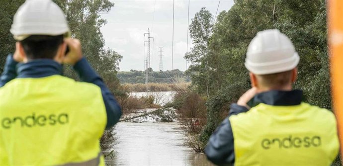 Técnicos de Endesa revisan la infraestructura eléctrica en una de las borrascas que ha azotado Andalucía en las últimas semanas.
