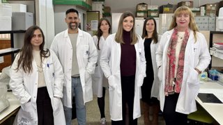 Científicos de la Universidad de Málaga e Ibima descubren una nueva 'diana celular' para entender y tratar el Alzhéimer