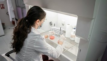 Es Andalucía - Sevilla