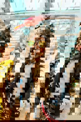 Miramar celebra hasta este sábado su Carnaval más salvaje y familiar