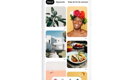 notibrasil sociedade