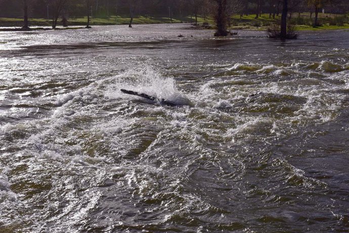 El río Alberche a su paso por Aldea del Fresno,.