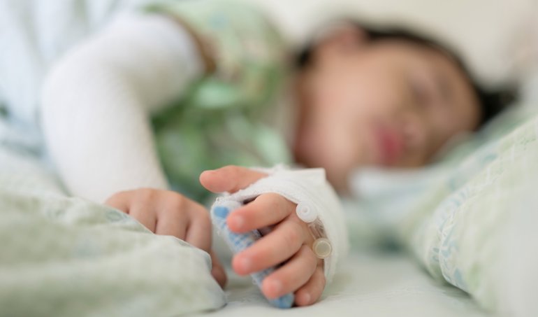 notibrasil sociedade