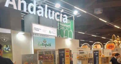 Es Andalucía - Sevilla