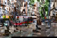 Cae un árbol en San Jacinto en Sevilla durante el episodio de viento ocupando y bloqueando la calzada, sin dejar heridos