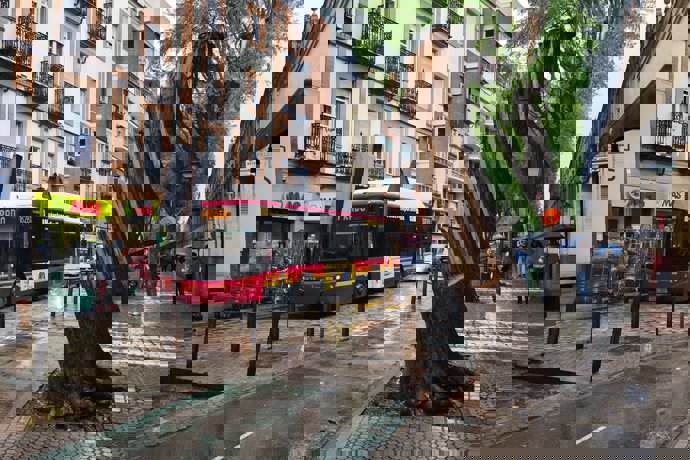 Árbol caído en San Jacinto durante un episodio de viento en Sevilla