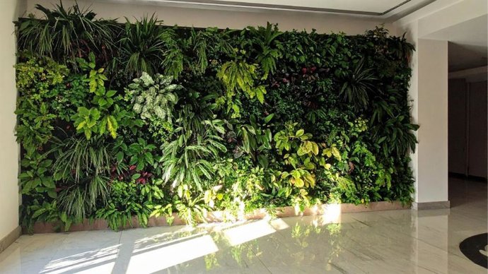 Imagen de un jardín vertical.