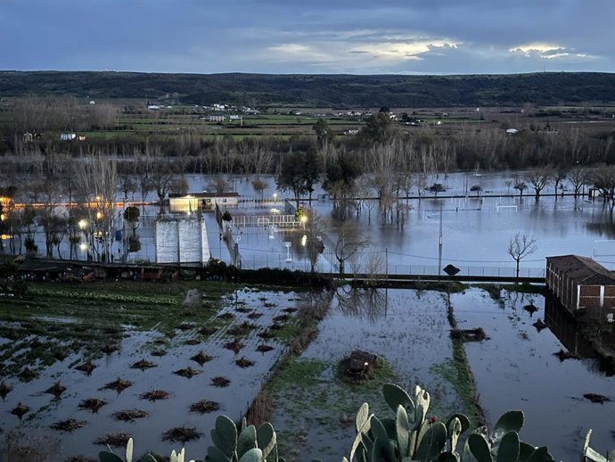 Crecida del río Alagón a su paso por Coria.