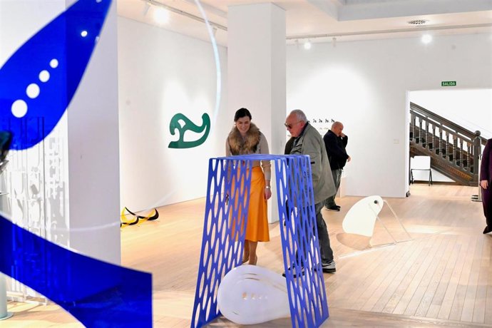 Presentación de la muestra de Lejardi en el MAS.