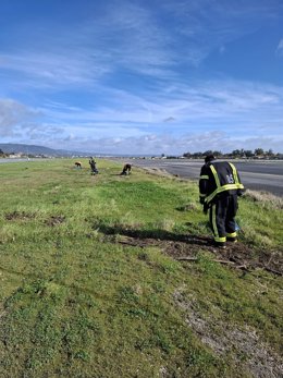 Operarios del Aeropuerto de Córdoba trabajan en la limpieza tras las constantes borrascas que provocaron la subida del río Guadalquivir, en febrero de 2026.