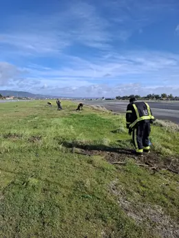 Operarios del Aeropuerto de Córdoba trabajando en la limpieza.