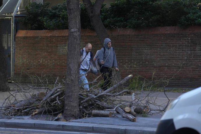 Imagen de archivo - Ramas caídas durante el temporal por viento, a 12 de febrero de 2026, en Barcelona, Catalunya (España). 
