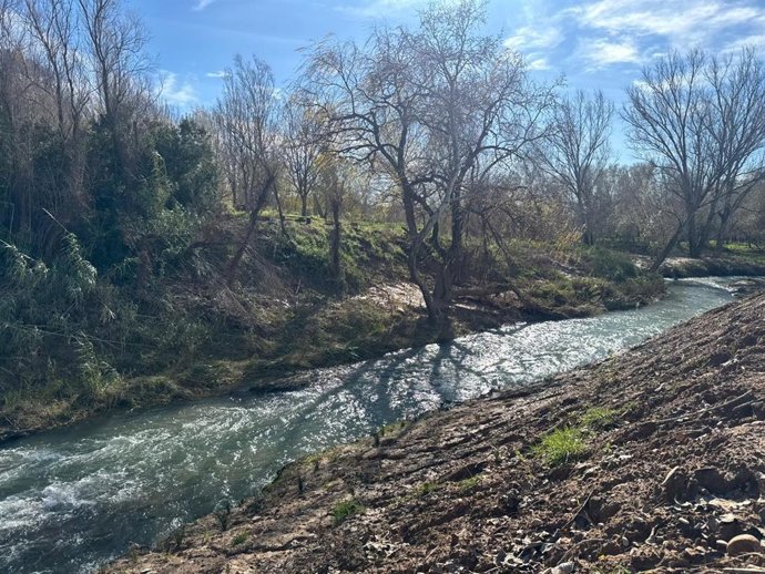 Imagen de archivo del Bosc de Ribera de Algemesí