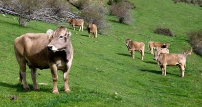 EpAgro - Agricultura