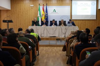 Reunión preparatoria para el Plen Romero de la Romería del Rocío 2026.