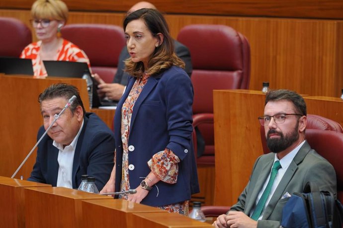 Archivo - La candidata de UPL a la Presidencia de la Junta y secretaria general del partido, Alicia Gallego, en una imagen de archivo en las Cortes de Castilla y León.