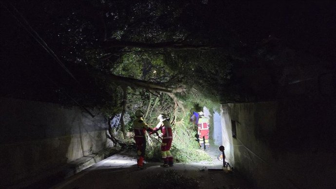 Bomberos retiran un árbol caído por el viento.-ARCHIVO