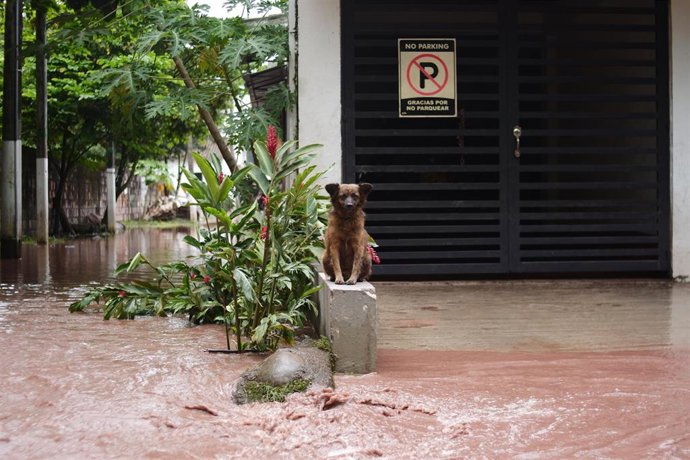 Archivo - El río Guatiquia se desbordara debido a las lluvias a su paso por Villavicencio, Meta, Colombia (archivo)