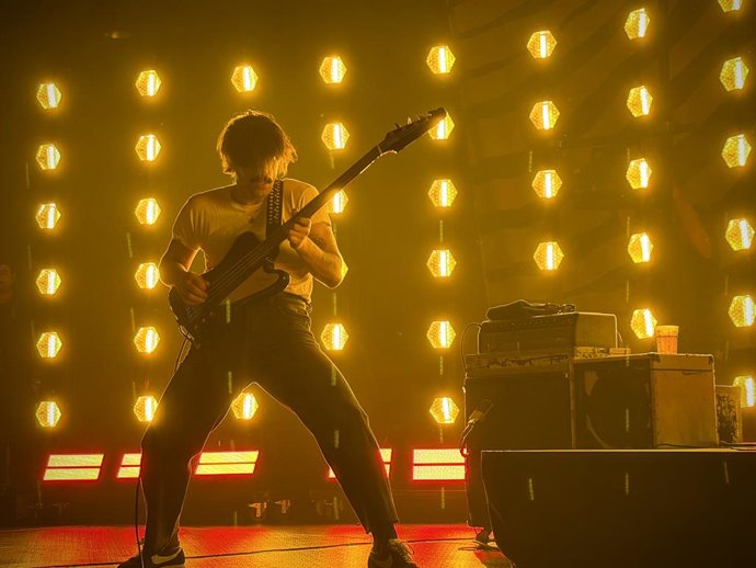 Sexy Zebras ofrece en el Auditorio Roig Arena un concierto "vibrante"