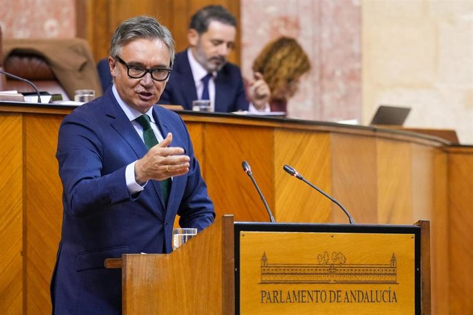 Archivo - El portavoz del Grupo Vox en Andalucía, Manuel Gavira, en una imagen de archivo en el Pleno del Parlamento.