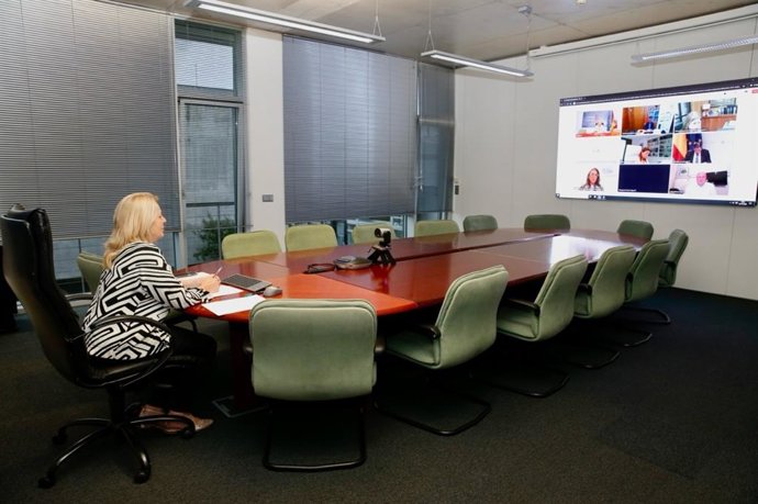 Susinos participó en la reunión por videoconferencia