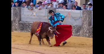 Vox pedirá en el Parlamento que la Junta declare BIC las plazas de toros más antiguas de varias provincias