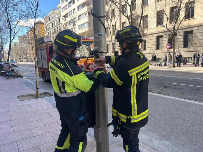 Los bomberos del Ayuntamiento de Madrid atienden 123 intervenciones, la mayoría en arbolado